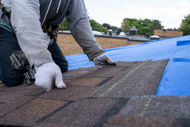 Best Metal Roofing Contractor  in Benton, KY